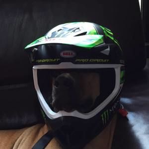 Meet your Posher, Tanner